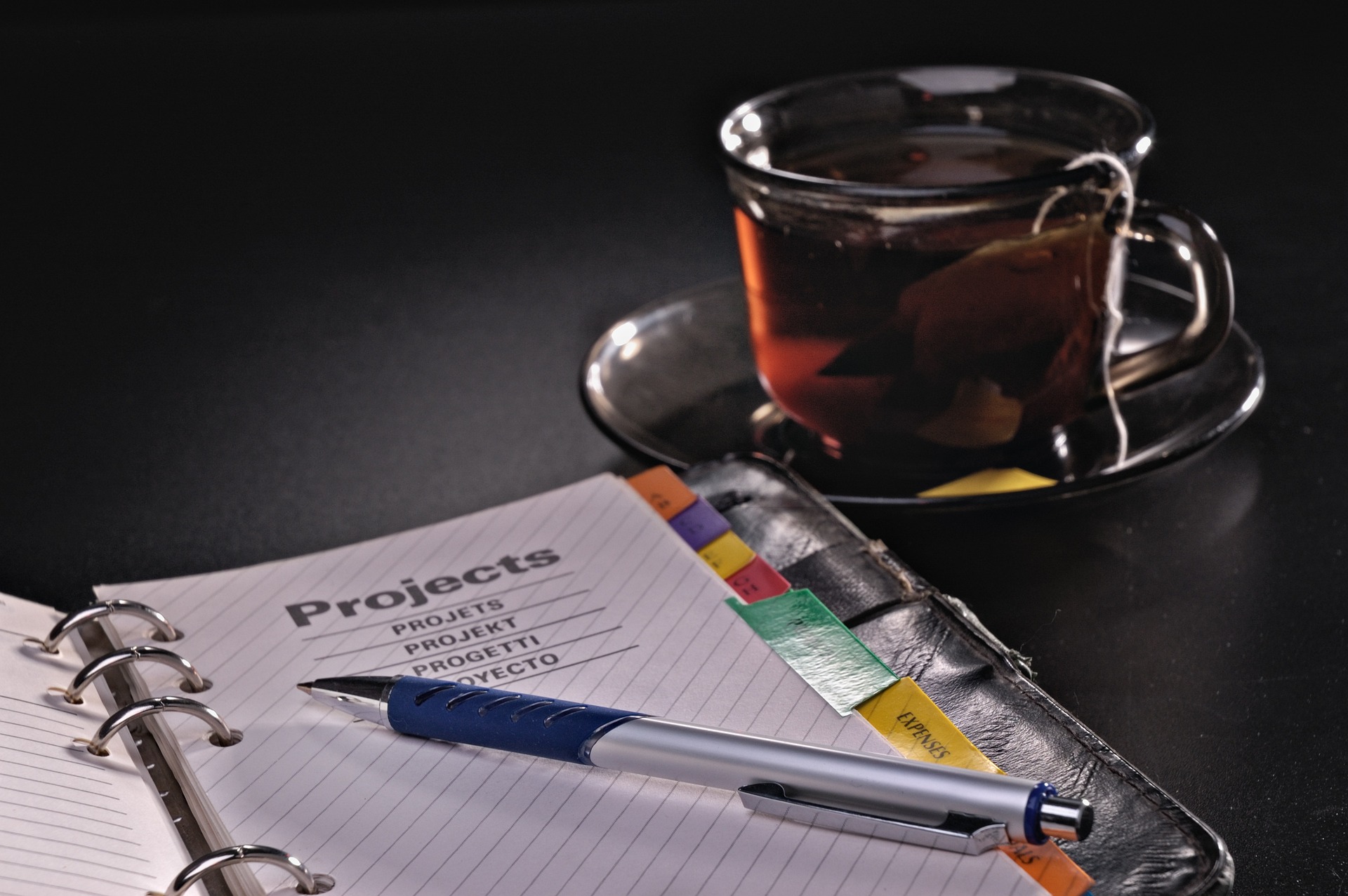 project management